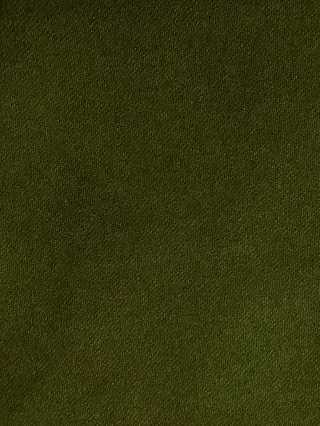 Fern