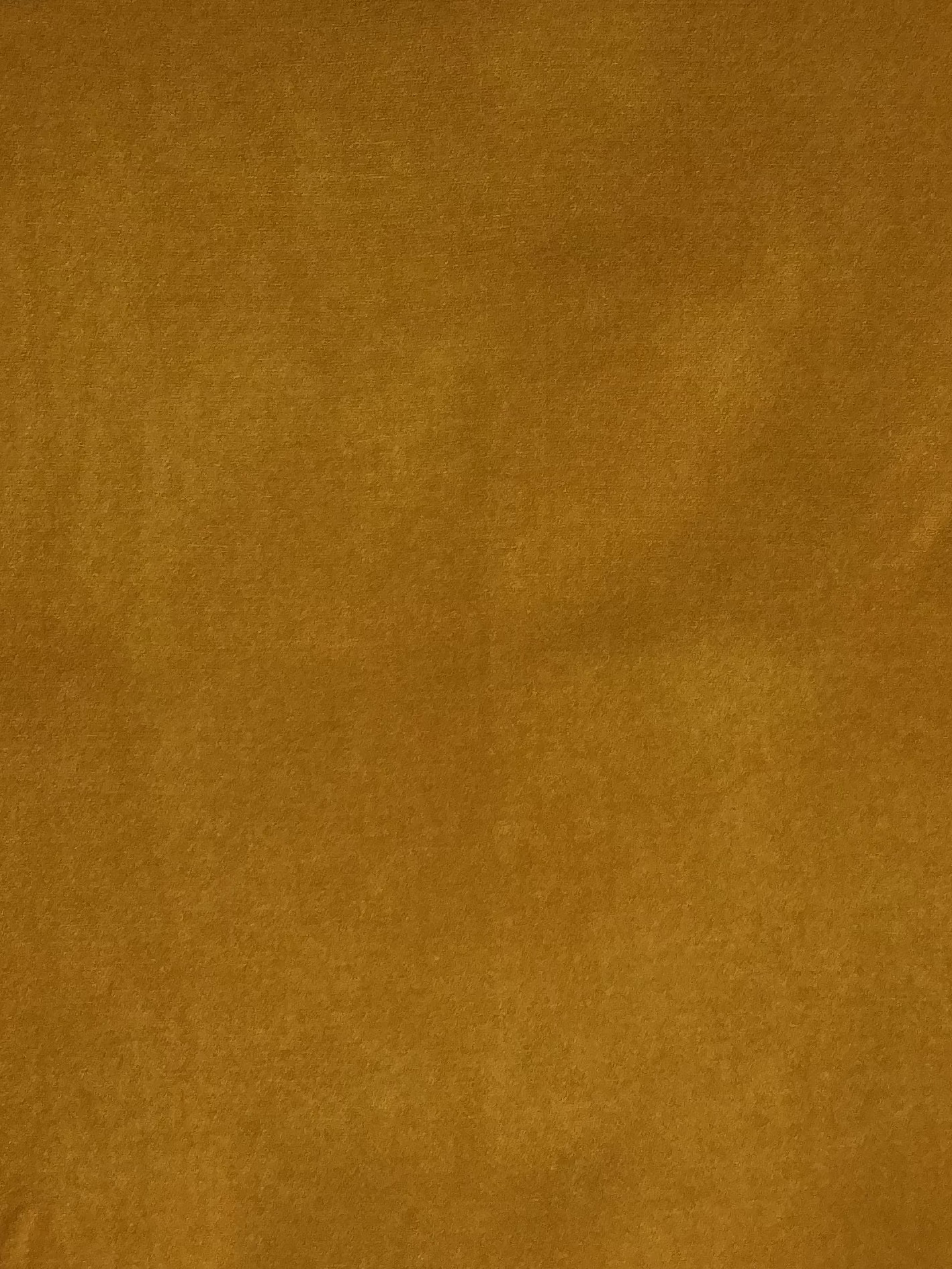 Golden Mustard